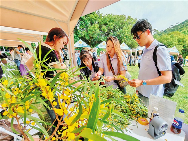 五月相思花开 情系两岸青年 内容图1 潮汕网-实时追踪潮商/潮汕/汕头/揭阳/潮州的新闻资讯网站! 五月相思花开 情系两岸青年 汕头市 图1张