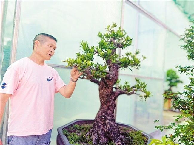 爱好当专业 实现创业梦 内容图1 潮汕网-实时追踪潮商/潮汕/汕头/揭阳/潮州的新闻资讯网站! 爱好当专业 实现创业梦 汕头市 图1张