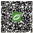 雨水织锦 汇露成荫 内容图10 潮汕网-实时追踪潮商/潮汕/汕头/揭阳/潮州的新闻资讯网站! 雨水织锦 汇露成荫 汕头市 图10张