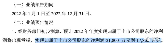 2022年，“玩具公司”们赚了多少钱？ 潮商资讯 图4张