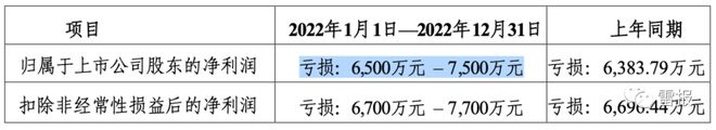 2022年，“玩具公司”们赚了多少钱？ 潮商资讯 图10张