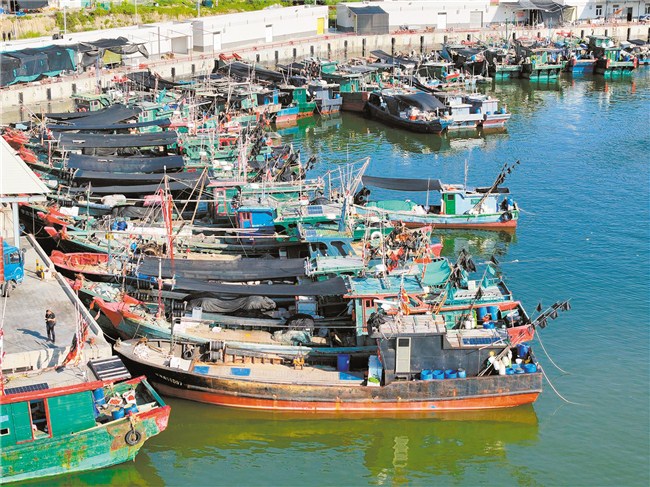 6837艘渔船回港避风 汕头市 图1张