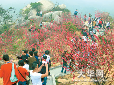 巨峰风景区 最新 图1张