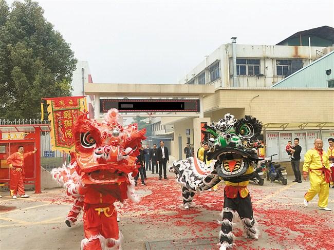 醒狮队“醒了” 乡村文化“火了”.jpg