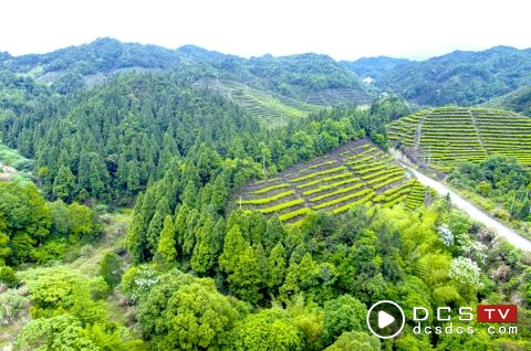 揭西大北山国家森林公园