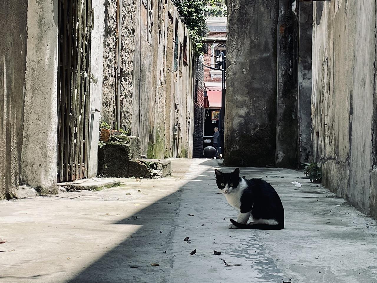 汕头-揭阳短暂的旅途拍的小照片