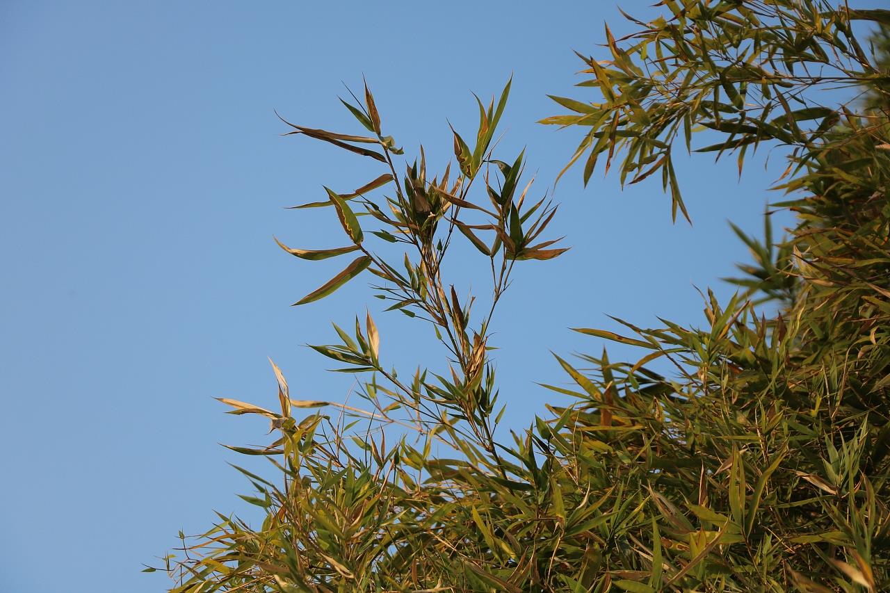 广东汕头乡村