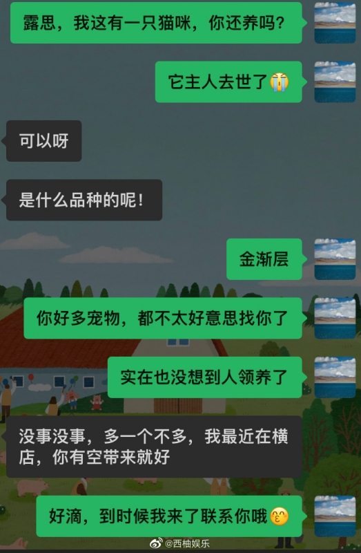 素人求助赵露思领养猫咪