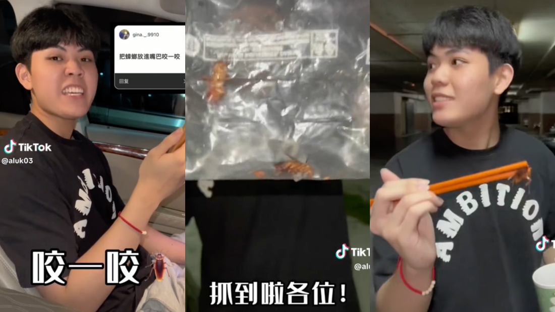 马来西亚网红拍片吃蟑螂