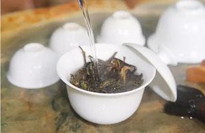 潮汕茶——凤凰单丛全部品种