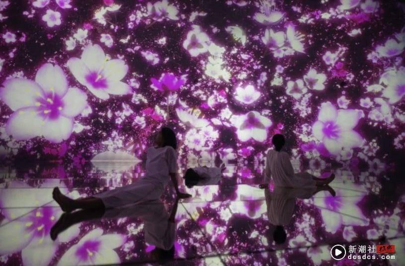 东京景点｜2023“teamLab Planets TOKYO”，14项互动艺术品，漂浮花园、水晶宇宙美哭 最新 图10张