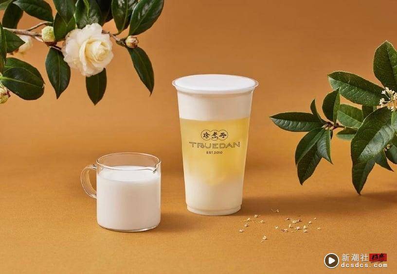 珍煮丹4款“山茶花采蜜”饮品新登场！厚奶茶、柠檬桂花折5元，限定蜂蜜奶油厚片大推 最新 图2张