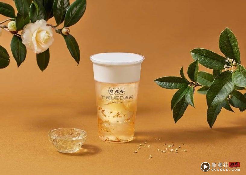 珍煮丹4款“山茶花采蜜”饮品新登场！厚奶茶、柠檬桂花折5元，限定蜂蜜奶油厚片大推 最新 图3张