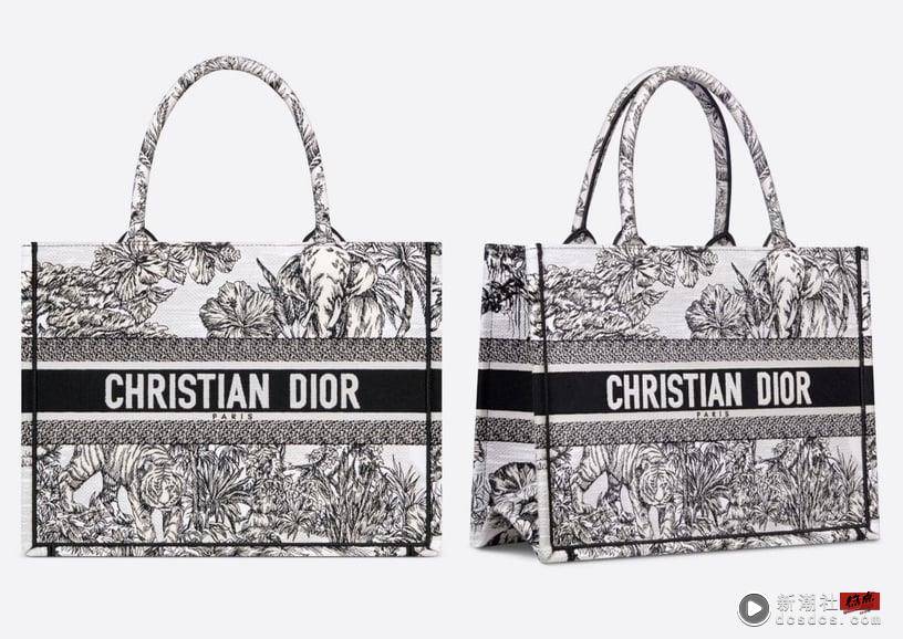 2023 DIOR必买爆款美包推荐！DIOR KEY、DIOR AMMI不能错过，这款火速成为Jisoo爱包 时尚 图12张