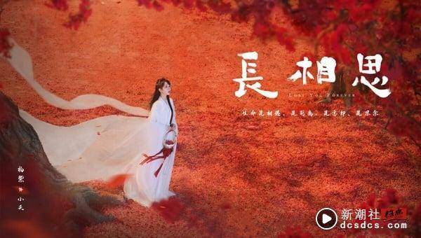 《长相思》剧情、角色介绍+必看亮点！杨紫、张晚意上演虐心四角恋，高还原度书迷必看 娱乐 图1张