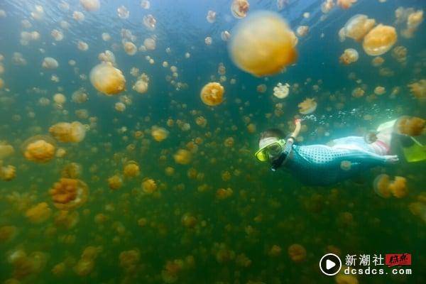 全球十大唯美海岛！“蜜月、度假、旅游”最推荐海岛，建议旅游季节一览 最新 图6张