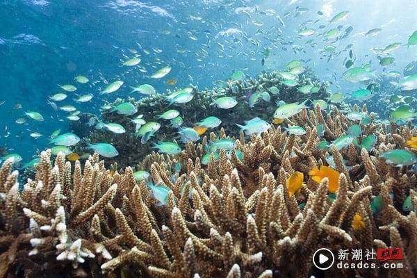 全球十大唯美海岛！“蜜月、度假、旅游”最推荐海岛，建议旅游季节一览 最新 图14张