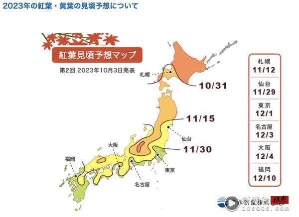 2023京都枫叶季开跑！6间赏枫必去京都咖啡厅，日本“最美蓝瓶咖啡”也在这！ 最新 图2张