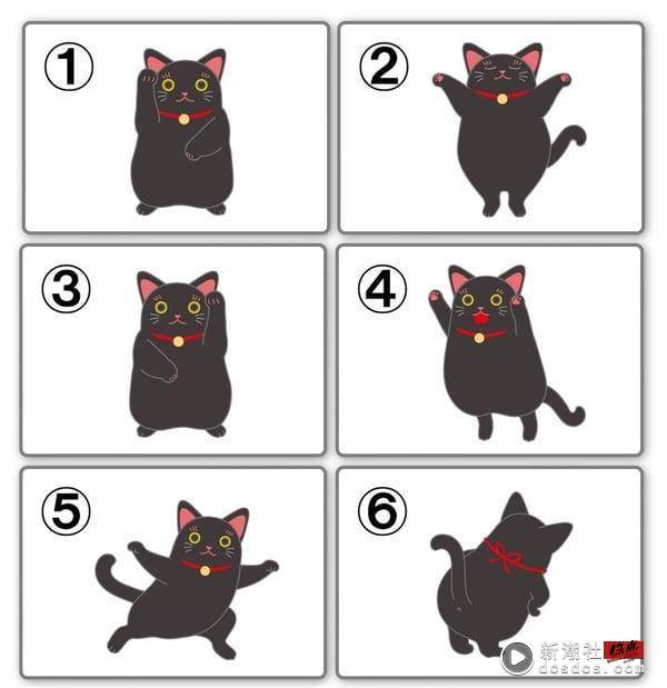 你给别人的第一印象？超准爆红心理测验，凭直觉选择一只黑猫，测出你的形象及隐藏性格 最新 图2张