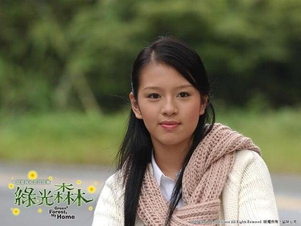 中国台湾电视剧女星近年高分作品！林依晨《不够善良的我们》7.9，杨谨华《一把青》8.4，这部8.6 娱乐 图5张