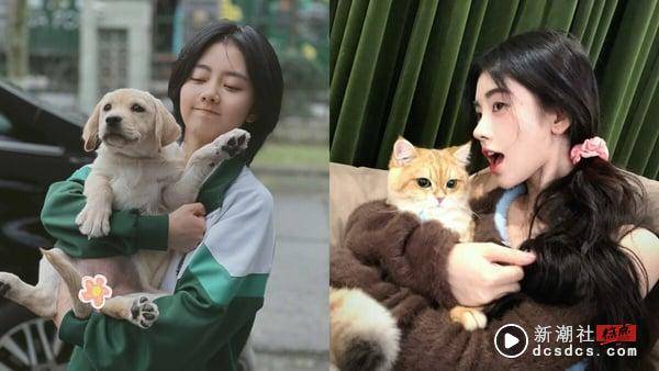 MBTI16人格适合养哪种猫狗？INFP适合养拉布拉多、INFJ黄金猎犬，“这人格”与杜宾最搭 最新 图16张