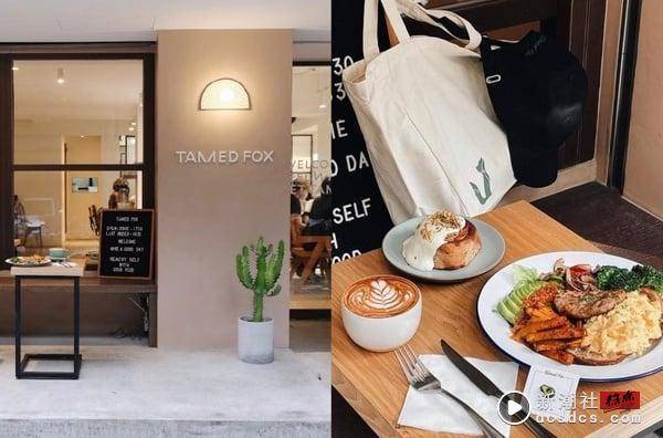 台北必访“大安质感美店”9选！早午餐TamedFox、复合式空间PAZZO，这间酒吧白天就微醺 最新 图3张