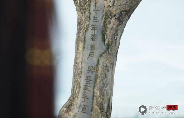 《墨雨云间》不是最气人！8部烂尾的重生古装剧，《为有暗香来》看了心梗，第8部最傻眼 娱乐 图3张