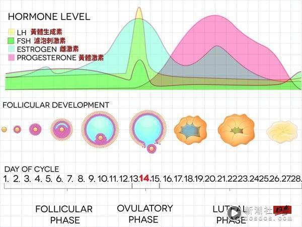 更年期症状带来月经变化？医生推3大保养重点，改善更年期期间经期紊乱 最新 图2张