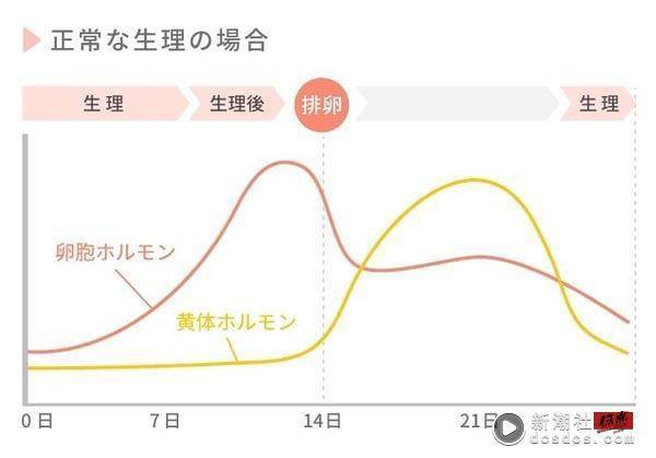 40岁月经没来是更年期还是怀孕？从基础体温、一篇学会辨认更年期与怀孕 最新 图2张