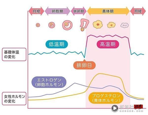 40岁月经没来是更年期还是怀孕？从基础体温、一篇学会辨认更年期与怀孕 最新 图5张