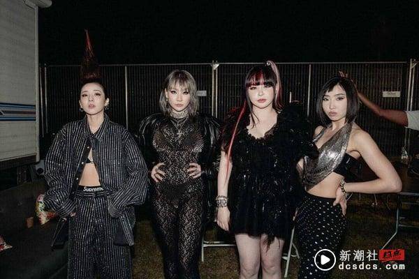 Girl Crush始祖2NE1十件事：十五周年回归演唱会在即，Kpop最具个人魅力的二代女王团！ 娱乐 图9张