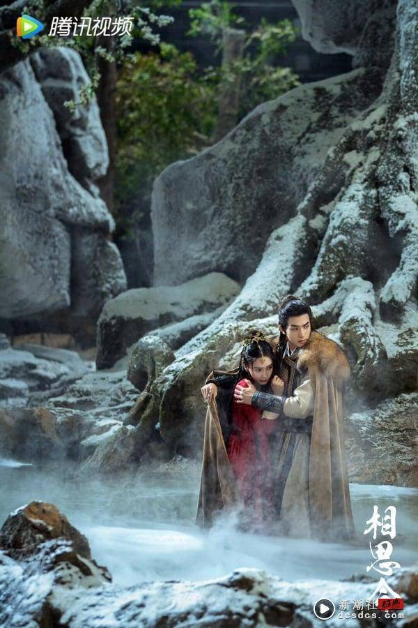 《相思令》剧情看点&角色介绍：宋威龙强势追爱女商人Angelababy，原着小说尺度超大！ 娱乐 图6张