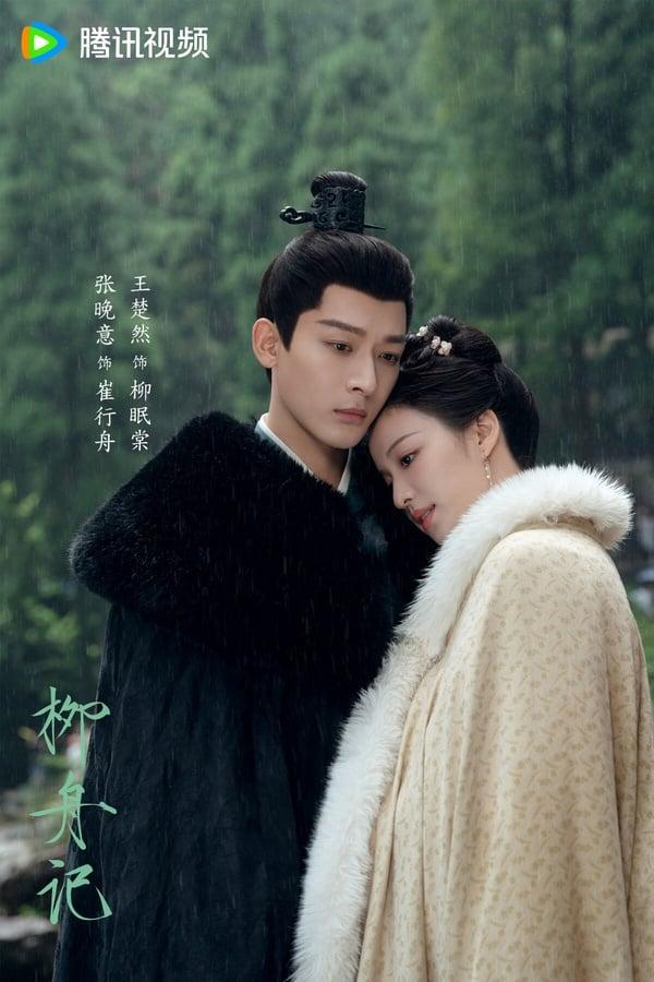 有部翻版《五福临门》！必追10部“没爆火但好看”高分电视剧！《锦囊妙录》不输《掌心》 娱乐 图3张