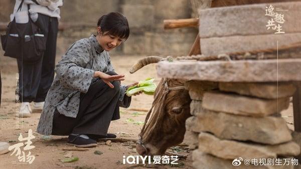 网评2025第一季最期待的电视剧TOP10！《白色橄榄树》第6，白敬亭《难哄》第2，冠军是它 娱乐 图2张