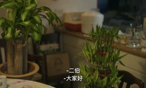 Netflix《童话故事下集》剧情彩蛋解析！男性长辈像“盆栽”超没存在感，水槽也有玄机 娱乐 图3张