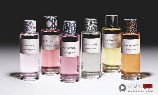 温暖不腻人！2025春季木质调香水推荐：DIOR、LE LABO木质调新香，这款中性香水太贴肤 最新 图2张