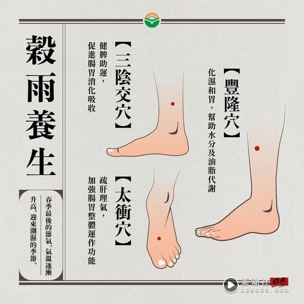 换季过敏、皮肤搔痒有解！中医亲解春夏换季关键，4大保养方法，减缓过敏、水肿状况！ 最新 图4张
