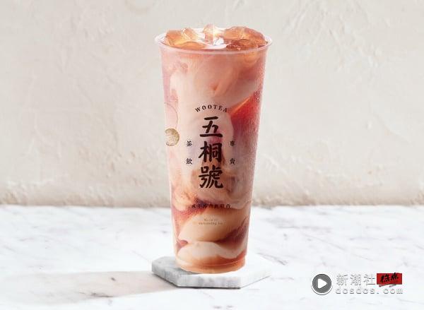 买一送一！五桐号联名Pingu企鹅家族：超萌企鹅盲盒周边、联名杯通通要收 最新 图5张