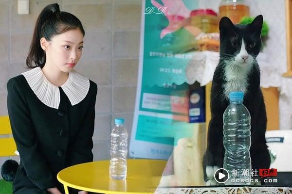 《比天堂还美丽》崔熙真小猫眼妆画法！干净猫系眼妆重点在眼尾，无痛化身人间小猫咪 最新 图1张
