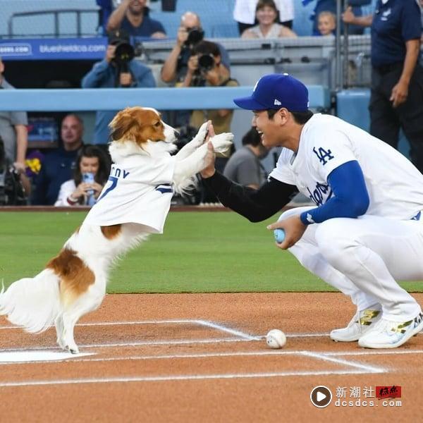 大谷翔平的十件事：当代最强二刀流选手，甚至还有“大谷翔平日”！ 娱乐 图7张