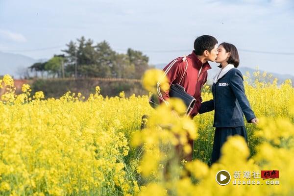 2025韩剧推荐！韩剧排行榜前十名，Netflix、最新韩剧线上看片单 娱乐 图1张